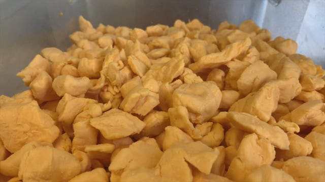 Washington County Fair comes back for 2021