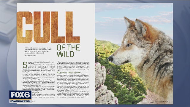 MKE Lifestyle magazine: Cull of the Wild