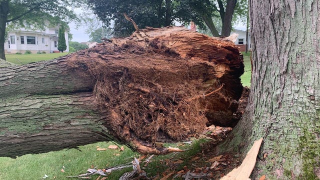 Storm damage? NARI warns homeowners of dishonest contractors