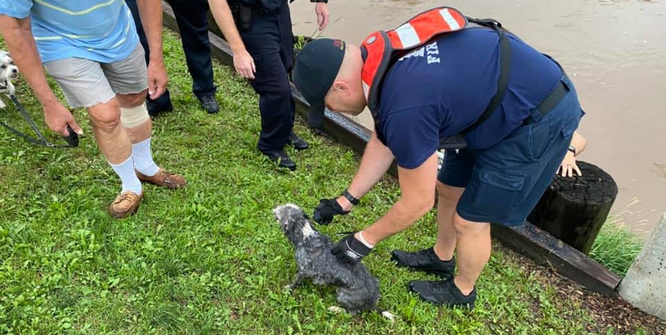 Dog rescued from Fond du Lac River