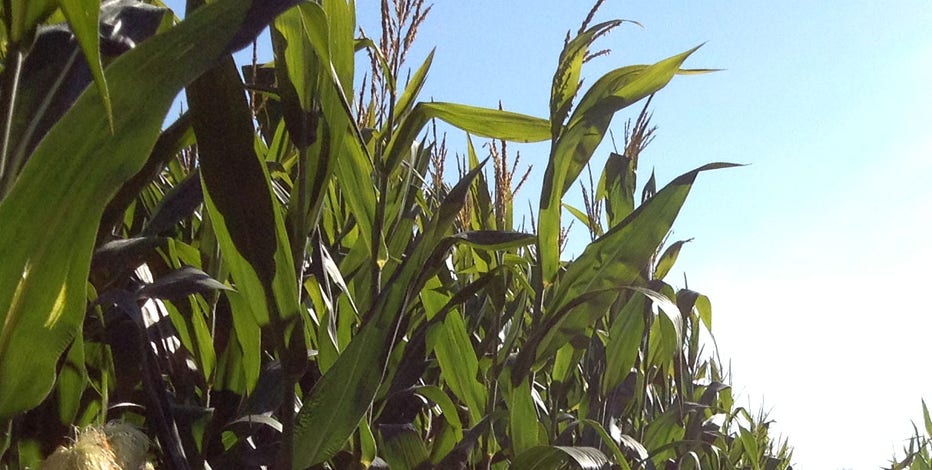 Wisconsin drought: SBA offers loans after disaster declaration