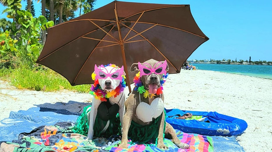 glasses-and-umbrella-beach.jpeg