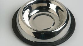 Dog food recalled due to elevated levels of vitamin D