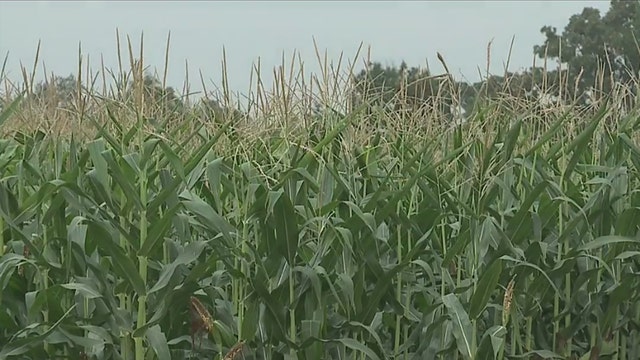 Evers proposes $25M Wisconsin agriculture package