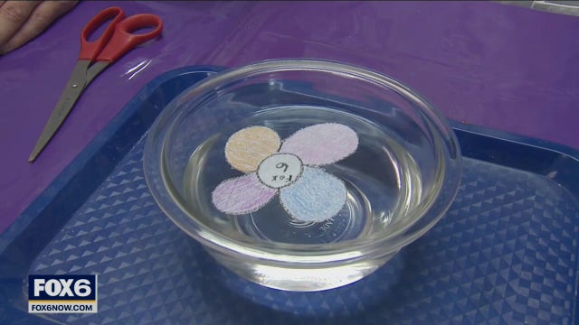 Easy, fun experiment to explain capillary action