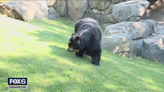 Looking to enjoy the weather? Head to the Racine Zoo
