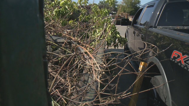 Storm debris drop-off in Milwaukee, Waukesha County