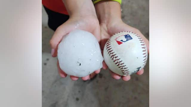 Saturday storms drop hail, take down trees across southern Minnesota