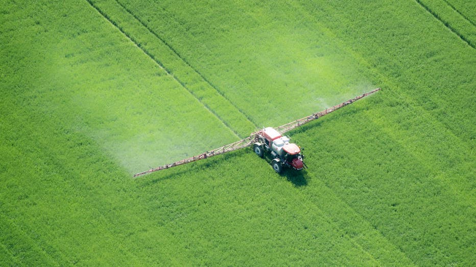 Aerial of spray application in green agricultural field on the eastern shore of Maryland, USA