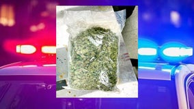 Racine County pot bust; suspect accused of driving 100+ mph