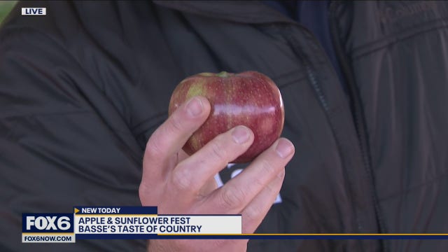 Basse’s Taste Of Country: Farm family fun that visitors of all ages can enjoy