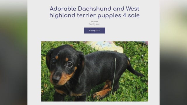 BBB: Wisconsin scam victims lost $93K+ during summer 2021