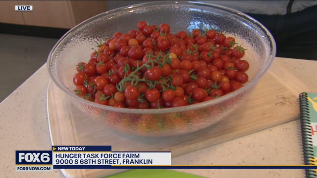 The Hunger Task Force Farm is a unique 208-acre farm