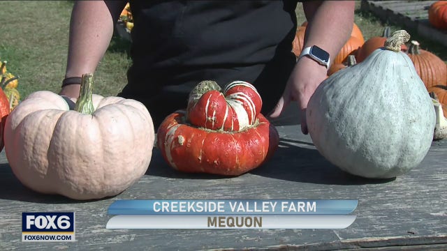 Outdoor family fun at Creekside Valley Farm