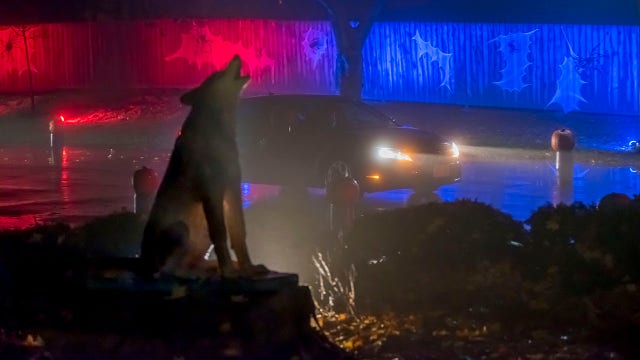 Milwaukee County Zoo's 'Boo at the Zoo' returns