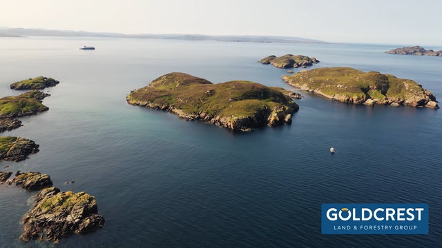 Uninhabited private island in Scotland up for sale at $70K