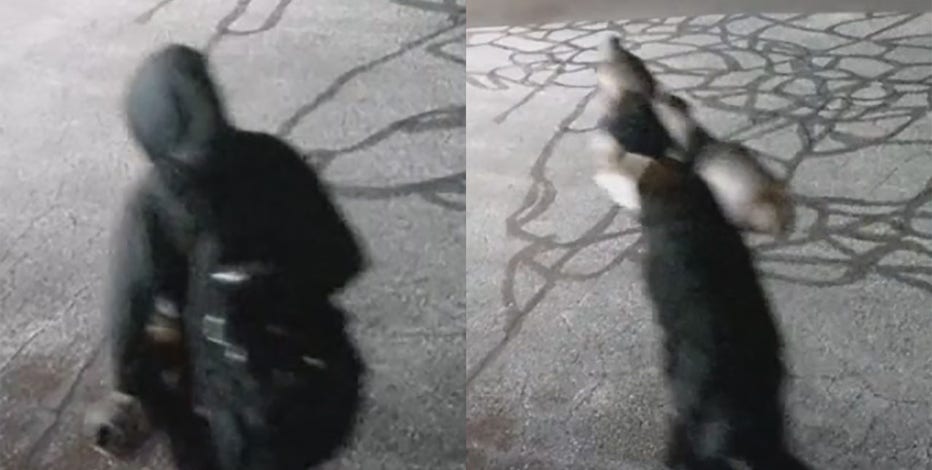 Catalytic converter thefts: Brown Deer police arrest 2