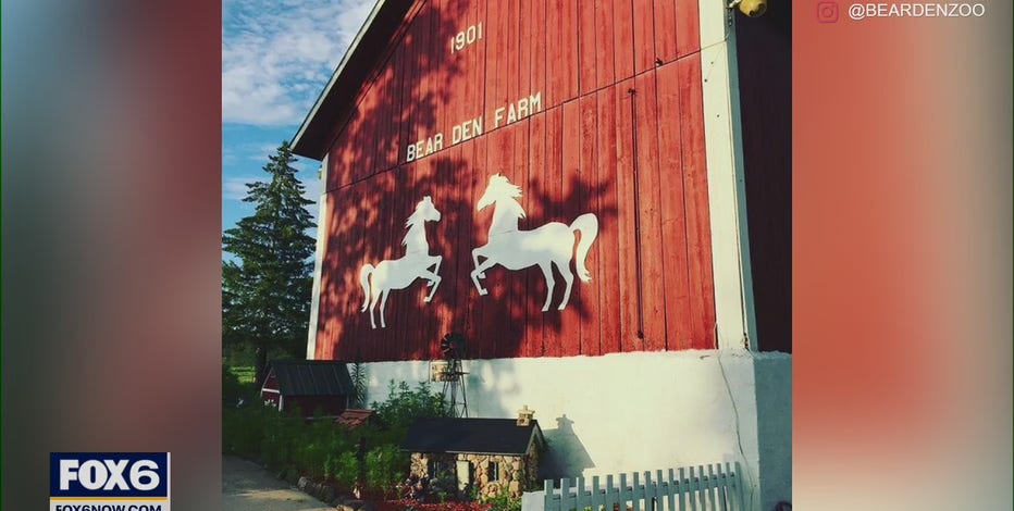 Fall family fun: Apple picking, pumpkin patches