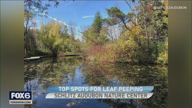 Great spots to enjoy the fall foliage