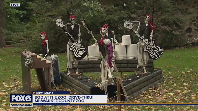 Boo At The Zoo Drive-Thru is back