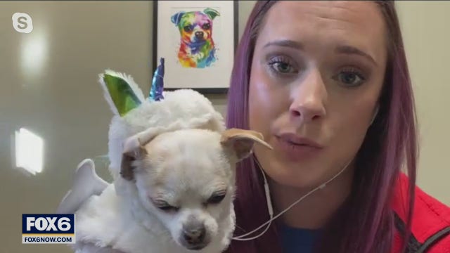 Keep 4-legged friends safe during Halloween