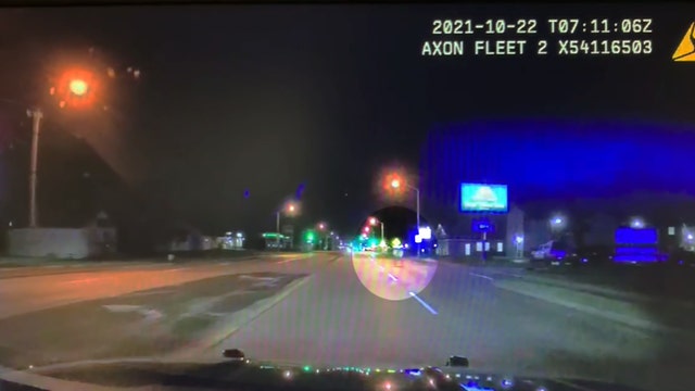 Video: Elk in Wisconsin Rapids gets police 'escort' through town