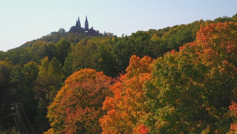 Fall Leaves