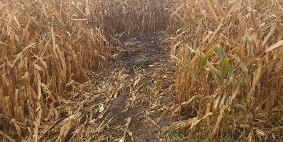 Fiery Middleton crash, 3 killed, 1 injured