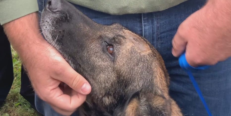 Helping K-9 Riggs: Beware of possible scams, officials say