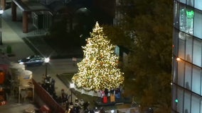 Milwaukee Christmas Tree: Deadline Oct. 17 to submit for consideration