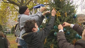 Cathedral Square Park holiday trees decorated by hundreds of students