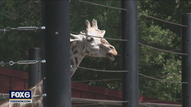 Giving Tuesday: Shop at the Milwaukee County Zoo