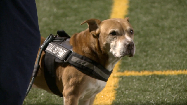 Man’s best friend provided support for Milwaukee Vincent football