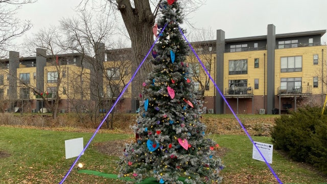 Waukesha Strong Holiday Memorial Tree stands at Veterans Park