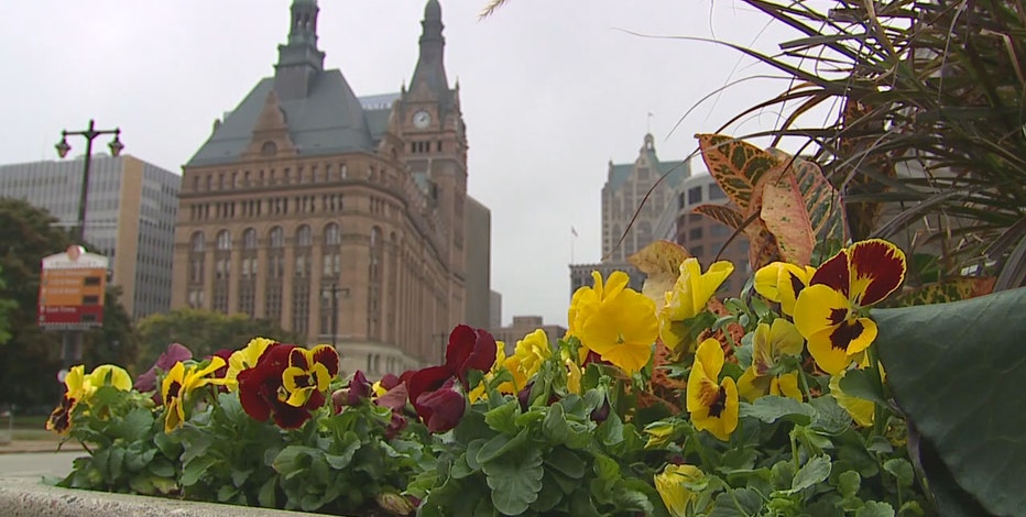 Milwaukee COVID positivity rises, case burden dips