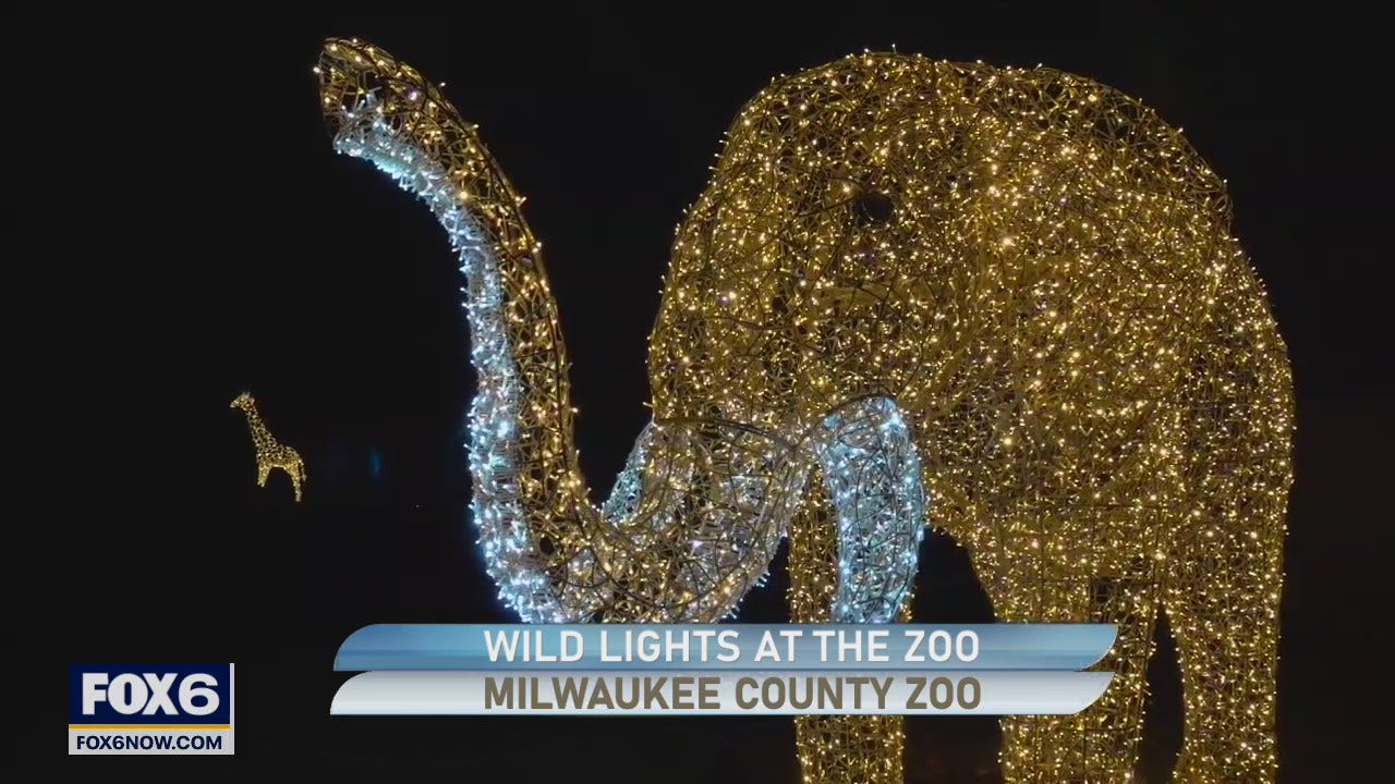 Wild Lights At The Zoo starts up again