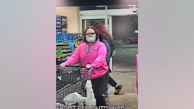 Brookfield Pick 'n Save theft, 3 sought