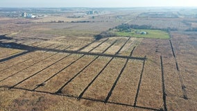 DNR: Sheboygan County wetland restoration to be completed