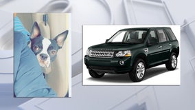 Jellystone Park Caledonia dog, SUV theft, $4K reward