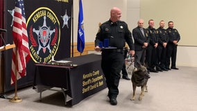 K-9 Riggs earns Silver Star award for courage, bravery, valor