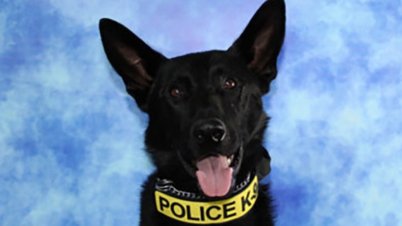 Whitewater police K-9 retires, to live with officer