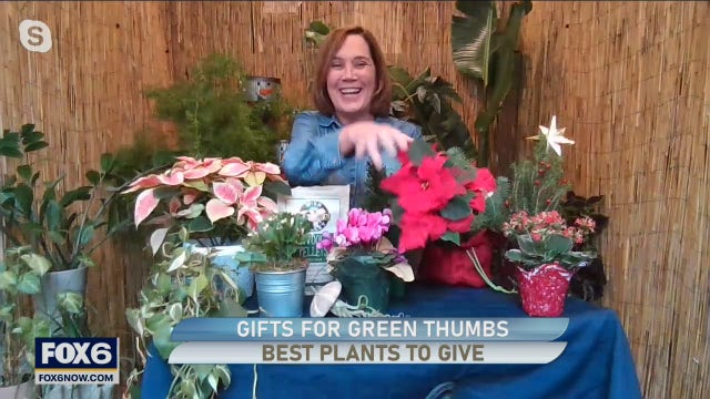 Best plants to gift