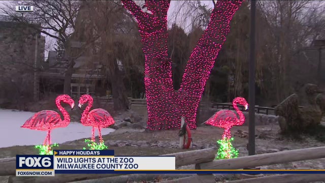 Preview of Wild Lights At The Zoo