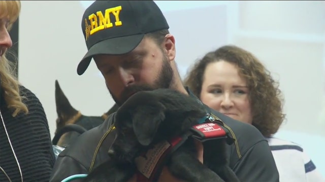 Service dogs for Wisconsin veterans support mental health