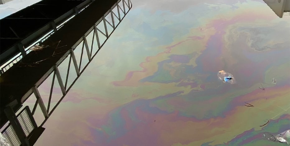 Komatsu Milwaukee River oil spill, goose, owl recovering