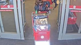 Menomonee Falls Target theft, woman sought