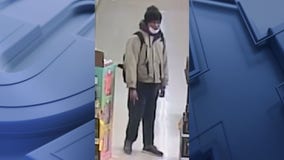 Jameson thief: South Milwaukee police seek suspect