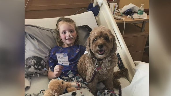 Betty White Challenge: Emma Loves Dogs Foundation donates