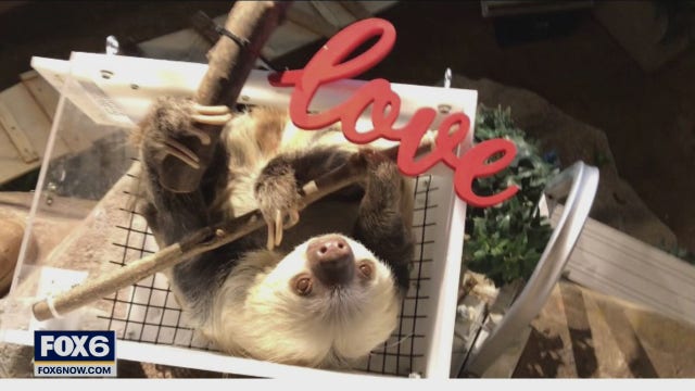 Milwaukee County Zoo virtual Valentines