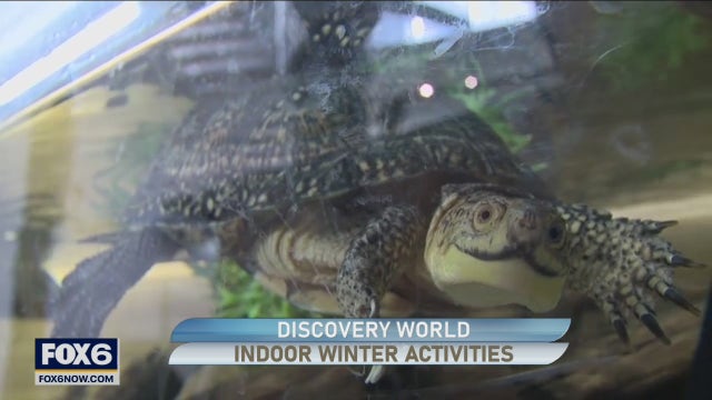 What's on your winter bucket list?